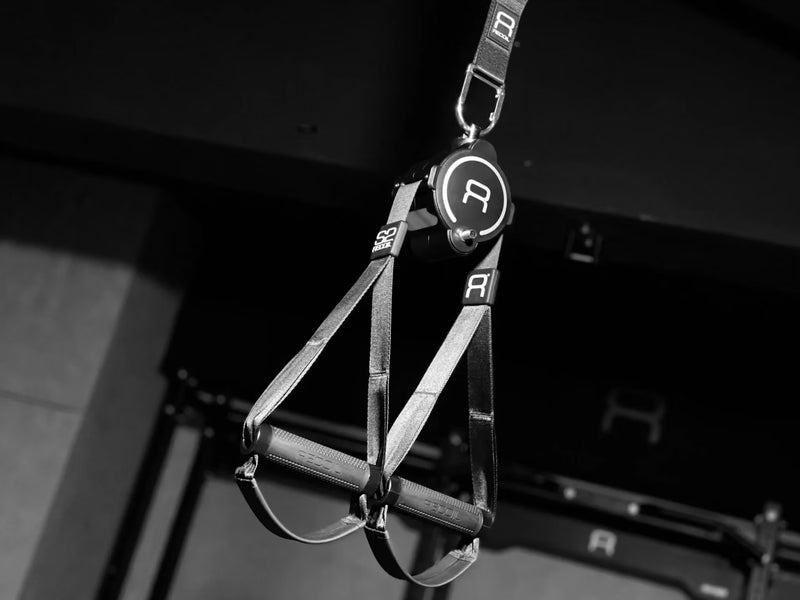 Suspended training straps for exercise Recoil S2 PRO