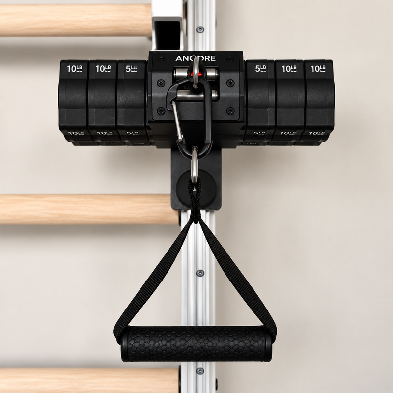 ANCORE Pro Cable Training System for BenchK wall bars