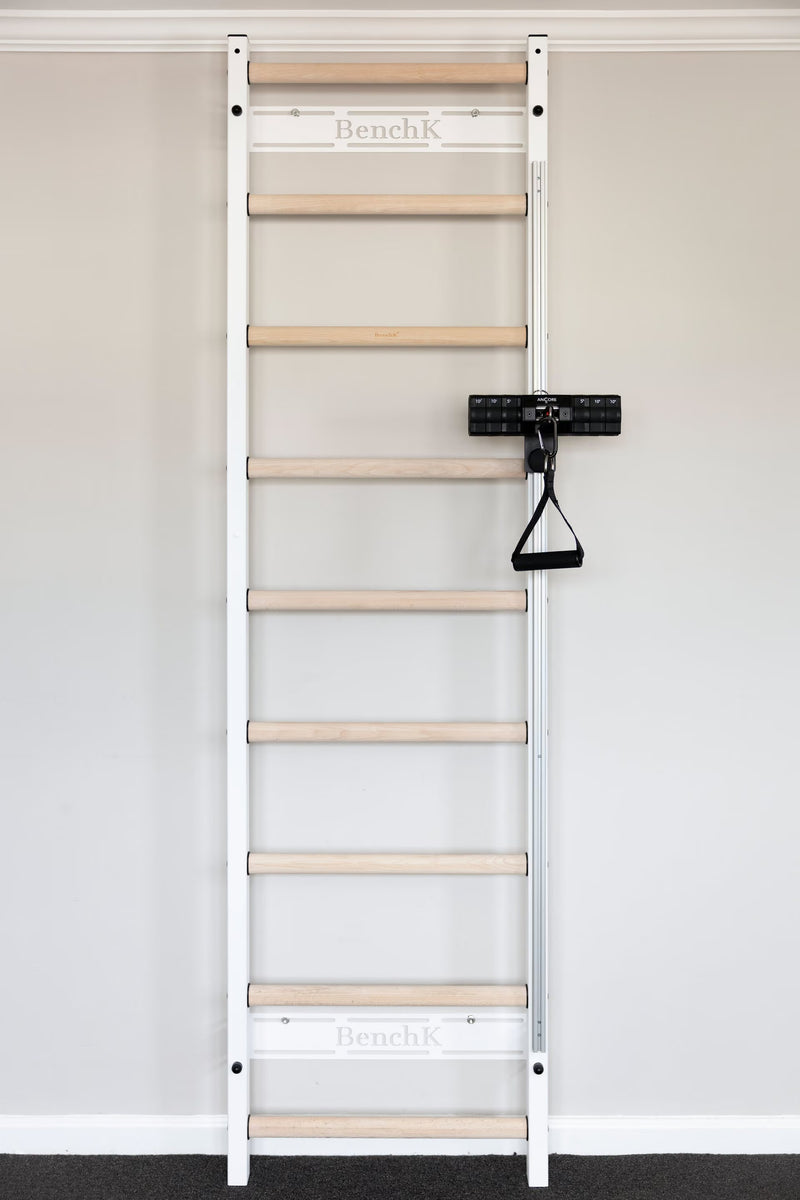 ANCORE Pro Cable Training System for BenchK wall bars