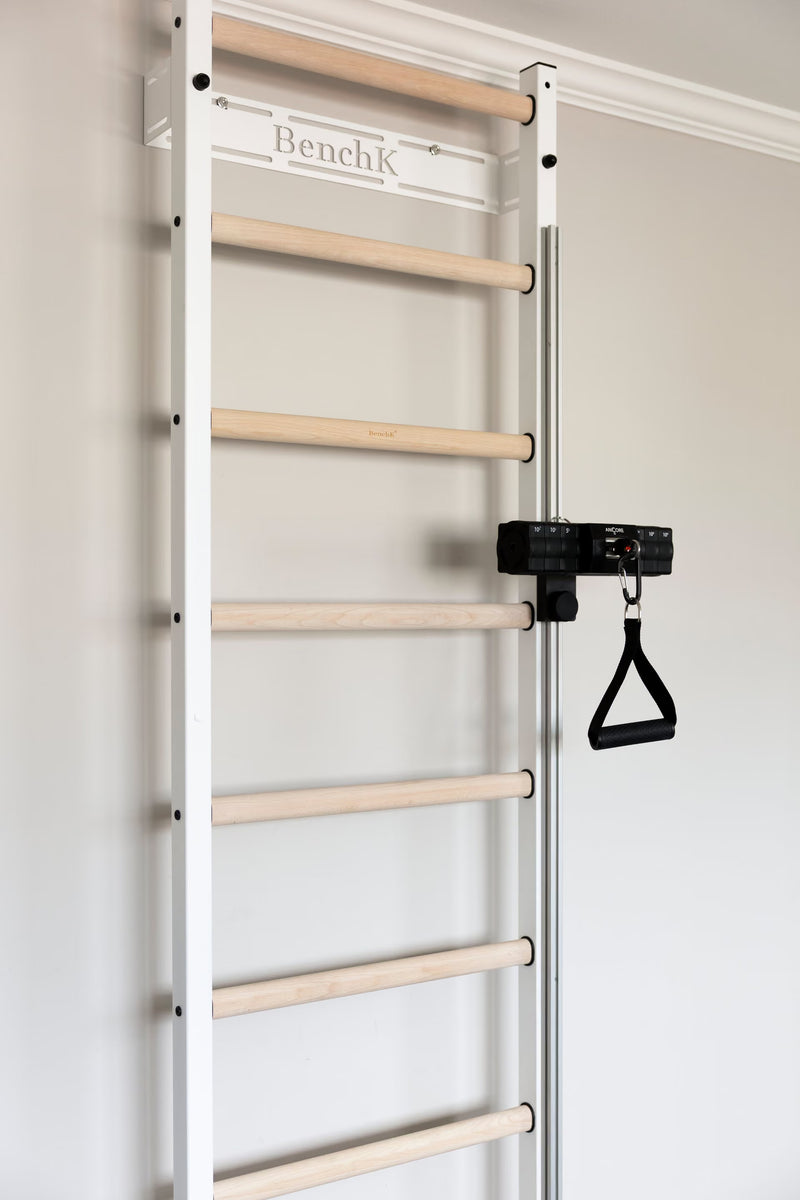 ANCORE Pro Cable Training System for BenchK wall bars