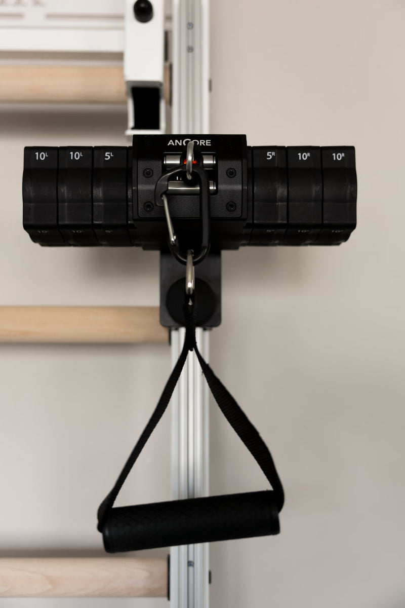 ANCORE Pro Cable Training System for BenchK wall bars