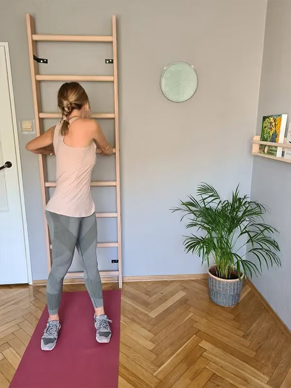BenchK 100 wall bars